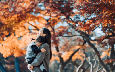 Blog