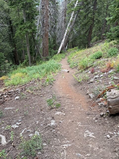 A Hike Became A Guide To Life - How To Climb A Mountain